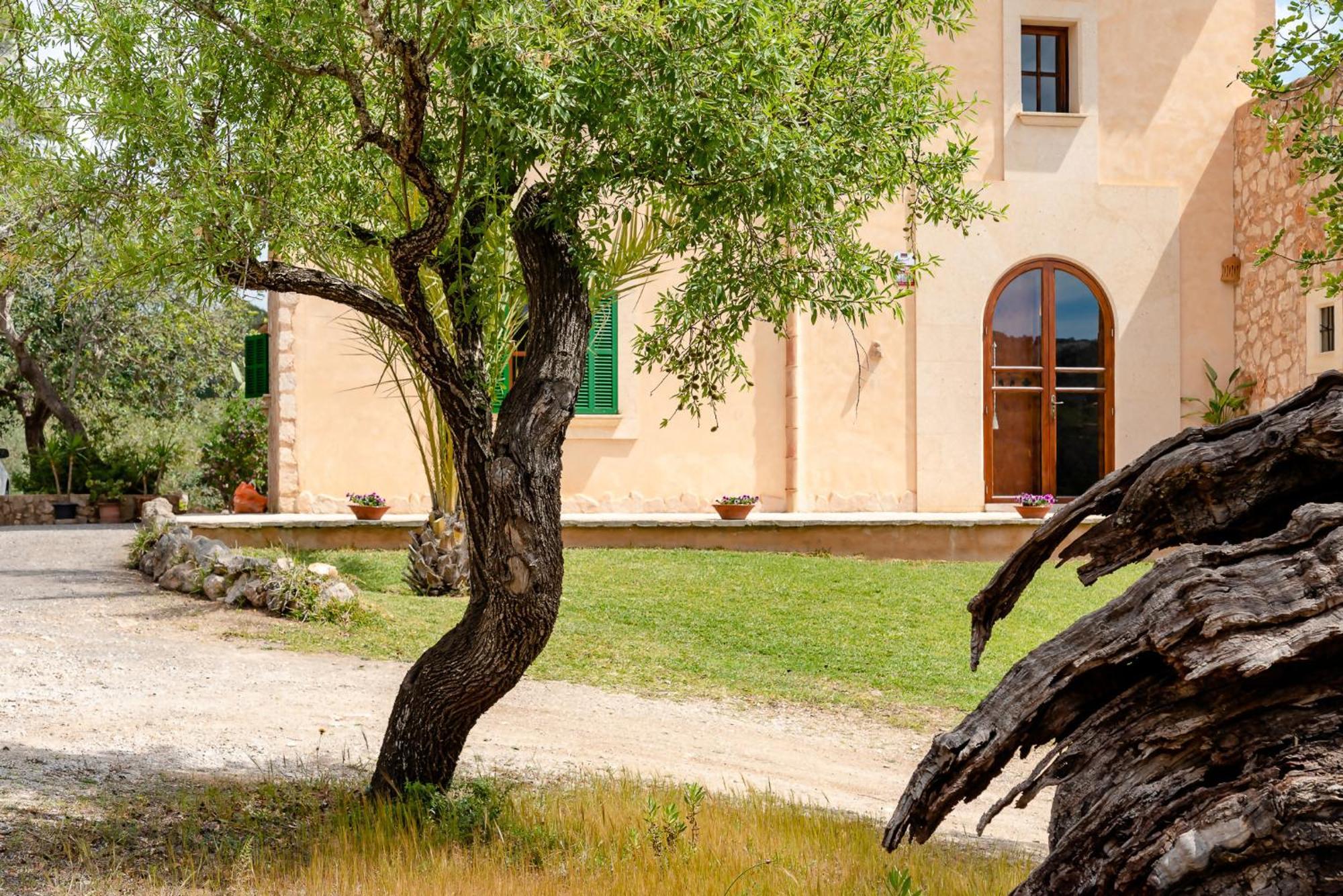 Ferienhaus Casa Con Vistas Despejadas Ideal Familias